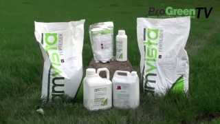 Treating moss in lawns with Amvista SulFe [upl. by Arihsat220]