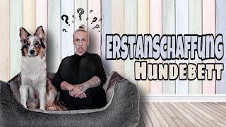 Erstanschaffung Hundebett  Welches Hundebett für den Anfang [upl. by Torres437]