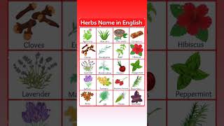 Herbs Name in English With Picture 🌿  Kids Vocabulary 🔥🔥 [upl. by Ssirk]