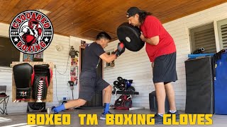 PUNCH SHIELD HEAVY BAG TRAINING Boxeo TM Torres Medina Boxing Gloves [upl. by Raddie511]