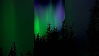 Northern lights could be visible tonight from Portland [upl. by Bray925]