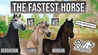 Proof The fastest horse in Star Stable  HUGE Difference Percheron vs Fjord vs Morgan [upl. by Damien]