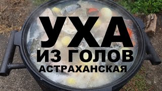 УХА ИЗ ГОЛОВ РЫБ АСТРАХАНСКАЯ В КАЗАНЕ НА КОСТРЕ С ВОДКОЙ И ГОЛОВЕШКОЙ РЕЦЕПТЫ СЮФ [upl. by Ramoj203]