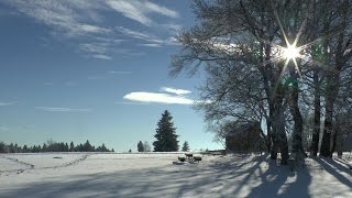 Winterzauber zwischen Hornberg und dem Kalten Feld [upl. by Bonilla144]