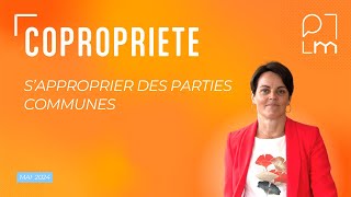 Appropriation de parties communes en copropriété [upl. by Anelyak]