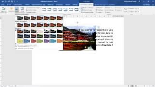HABILLAGE COLORATION et TRANSPARENCE des images Formation WORD [upl. by Leen299]