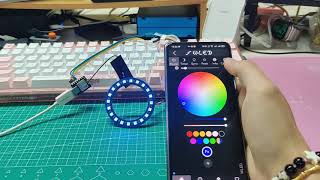 WLED Made Easy Control Your NeoPixel LEDs with XIAO ESP32 MCUs [upl. by Son]