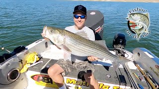 Monster Striper fishing with Roger George San Luis Reservoir 10 4 2022 [upl. by Magdala]