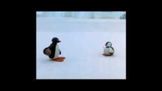 Pingu Cannot Lose Clip  Pingu Official Channel [upl. by Skantze]