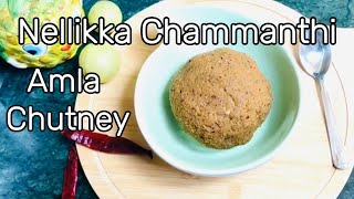 Nellikka chutney നെല്ലിക്ക ചമ്മന്തി Kerala Style Nellikka Chammanthi  Amla coconut chutney [upl. by Hein]