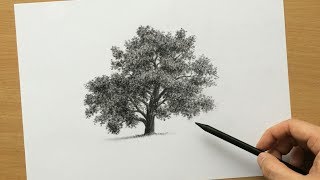 How to Draw a Tree in Charcoal [upl. by Jeri100]