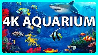 The Best 4K Aquarium for Relaxation 🐠 Relaxing Oceanscapes  Sleep Meditation 4K UHD Screensaver [upl. by Monroy728]