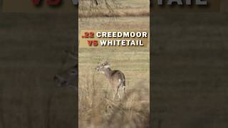 22 CREEDMOOR VS WHITETAIL [upl. by Selby495]