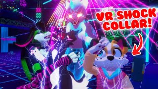 VR SHOCK COLLAR  Furries Play VRCHAT  May 20 2023 [upl. by Caesaria]