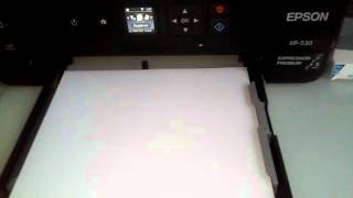 Epson XP 530  Papier Invoer Laden [upl. by Naltiac]