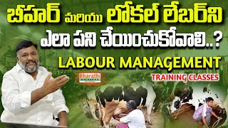 Dairy Farm Training class about Labour Management why Dairy farming in LossHow to get Profit [upl. by Perkin]