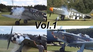 WARBIRD ENGINE STARTS Vol1 [upl. by Yrrat]