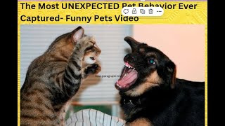 The Most UNEXPECTED Pet Behavior Ever Captured  Funny Pets VIdeo [upl. by Tollman971]