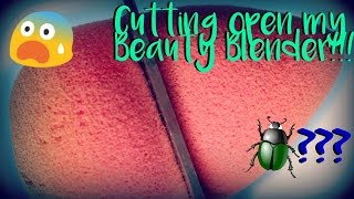 CUTTING OPEN MY BEAUTY BLENDER  MissTaylorxo [upl. by Filip958]