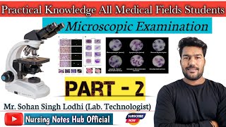 Microscopic Examination Peripheral Blood Smear Examination In Microscope [upl. by Uchish]