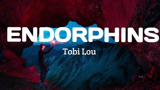 Tobi lou  Endorphins lyrics  Treasury Beatz [upl. by Lynett185]