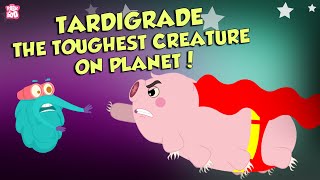 What Are Tardigrades  The Strongest Creature Ever  The Dr Binocs Show  Peekaboo Kidz [upl. by Belita]