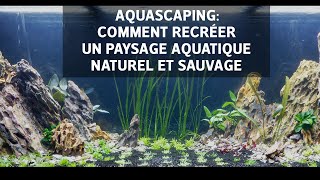 Aquascaping  Comment recréer un paysage aquatique naturel et sauvage [upl. by Toney]