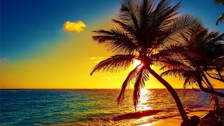 Beautiful Relaxing Peaceful Music Calm Music 247 quotTropical Shoresquot By Tim Janis [upl. by Oppen]