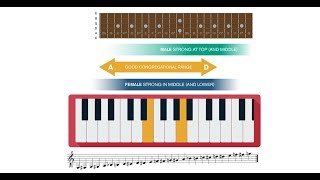 Free lesson from Musicademys Worship Leading course Choosing Songs [upl. by Griffie930]