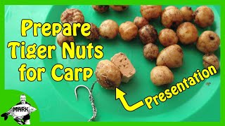 Preparing Tiger Nuts for Carp Fishing [upl. by Otsedom]