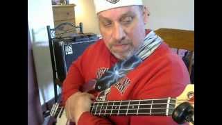 Rotosound Swing Bass 66 SM66 40 60 80 100 Review [upl. by Shatzer]