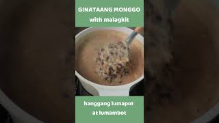 Ginataang Monggo Recipe  perfect merienda and business recipe [upl. by Renick]