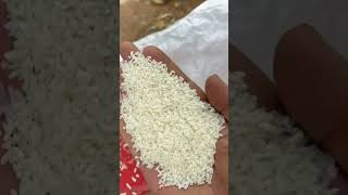 6N70 POLISHER MACHINE TESTING 100 FRESH RICE 🍚🔥🔥🔥🔥 [upl. by Ursas102]