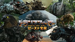 【ビーストウォーズ】『トランスフォーマー：ビースト覚醒』♪WAR WAR！STOP IT  ビースト系トランスフォーマー 参戦 ver [upl. by Karas]