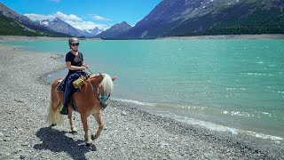 Wanderritt Alpenüberquerung zu Pferd 2021  Trailride Crossing The Alps on horseback [upl. by Yesnek927]