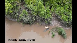 SOBEK THE GIANT CROCODILE OF KING RIVER [upl. by Barrington]