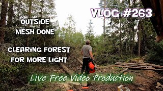 Outside chinking mesh done Clearing forest behind the log cabin Vlog 263  S6 [upl. by Yecnay]