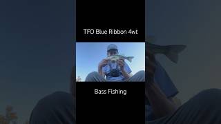 4wt fly fishing is where it’s at tforods blueribbon bassflyfishing gamechanger 4wt texas [upl. by Ahtiekahs681]