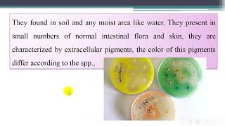 Pathogenic bacteria Lab 5 Pseudomonas Spp [upl. by Bowen]