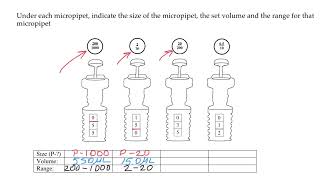 Micropipette reading and setting quiz [upl. by Nosila]