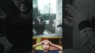 Sigma monkey 🤣 youtubeshorts viralvideo tiktok [upl. by Betthezul]