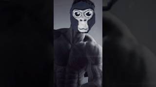 Sigma monkey edit gorillatag [upl. by Nonnahc]