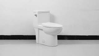 Dual Flush Elongated One Piece Toilet With Soft Closing Seat 128gpf48lpf [upl. by Lemieux346]