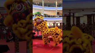 Lion Dance Show [upl. by Ailemac]