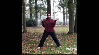 Abridged  my 3 favourite qigong [upl. by Anneirb]