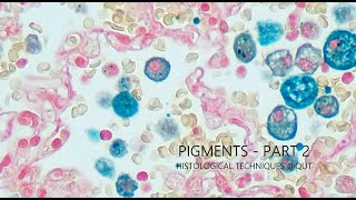 Pigments  Part 2 [upl. by Cardie]