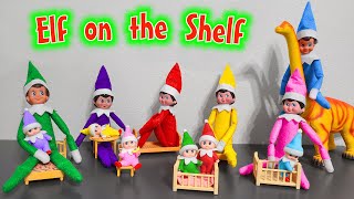 Elf on the Shelf 2020 All Colors Elf on the Shelf and Elf Babies [upl. by Gainor753]