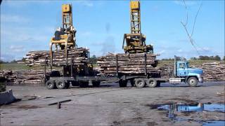 Log Stackers Unloading and Chipping Logs [upl. by Eldwin]