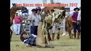 DVD  De las Vacas y Caballos más Bellacos del año 2012 [upl. by Grissom732]