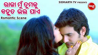 NEW FILM  Raja Mun Tumaku Bahut Bhala Pae  Big ସିନେମା Best ସିନ୍  New Film  ଚୁପ୍ ଚୁପ୍ ଚୋରି ଚୋରି [upl. by Trebla]